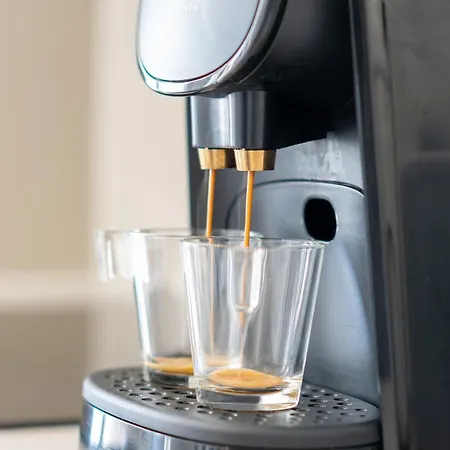 La Maison Royale - Terrasse Et Jardin