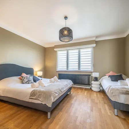 La Maison Royale - Terrasse Et Jardin Haguenau